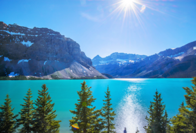 ​描写大雁的诗句有哪些（赞美大雁的诗句分享）