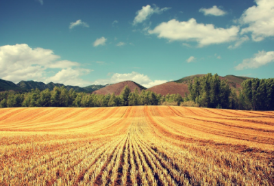 ​龙的诗句有哪些（关于龙的经典名句）