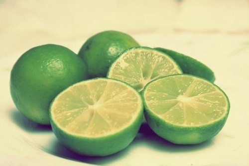 司马懿的名言名句18句