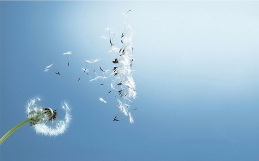 读书名言冰心16句