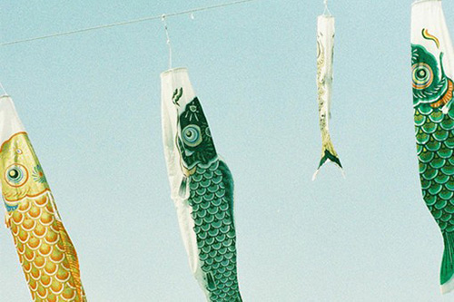 关于团结的名言名句(26句)