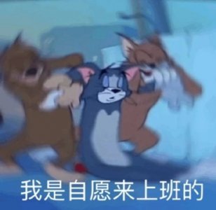 ​超好听的扣扣名字