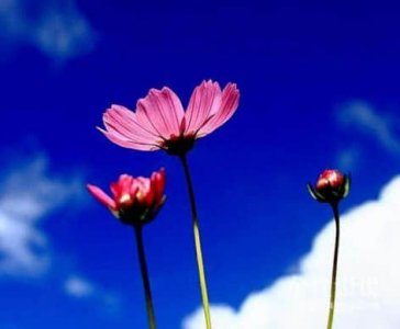 ​闲鱼个性网名