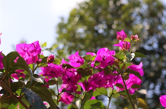 霸气的男生游戏名字(793个)