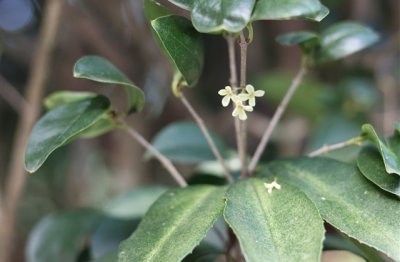 ​男生个性范儿网名(精选641个)