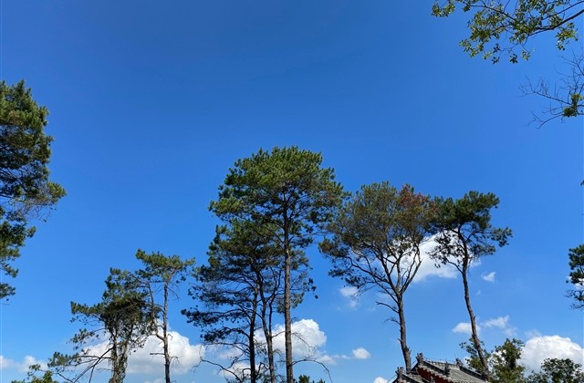 清新文雅的qq女生网名(共531个) 清新文雅的qq女生网名(共531个)