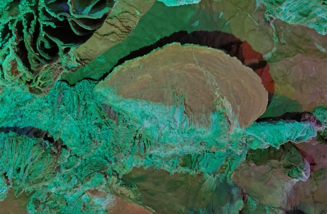 女生网名唯美小清新四个字(精选530个) 女生网名唯美小清新四个字(精选530个)