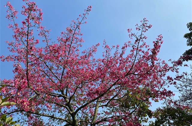 经典网名男生大全霸气