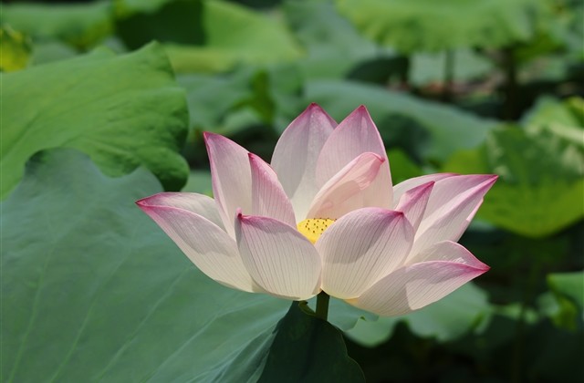 伤感心情不好个性网名(共524个)