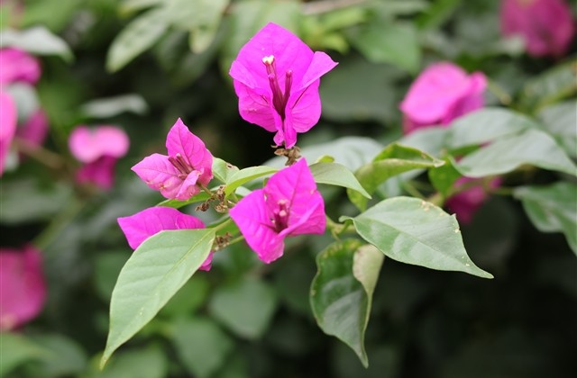 4字游戏名字优美新颖(优选505个) 4字游戏名字优美新颖(优选505个)