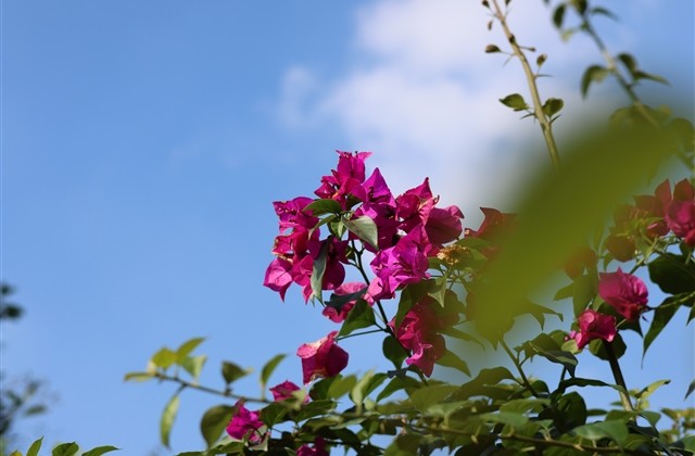 4字游戏名字优美新颖(优选505个) 4字游戏名字优美新颖(优选505个)