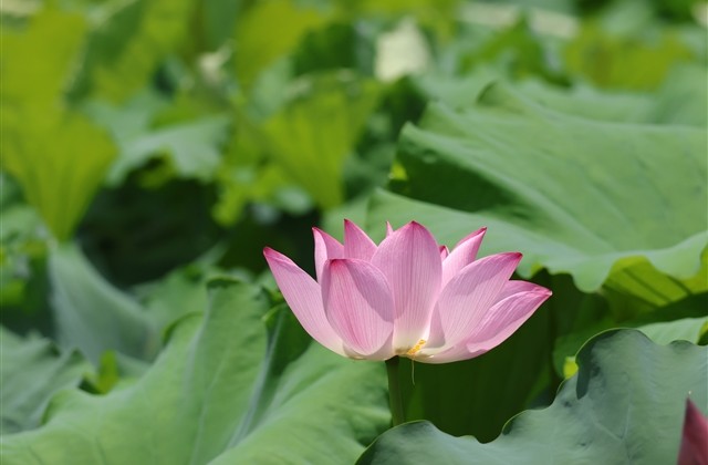 游戏名字简单干净大方(优选513个)