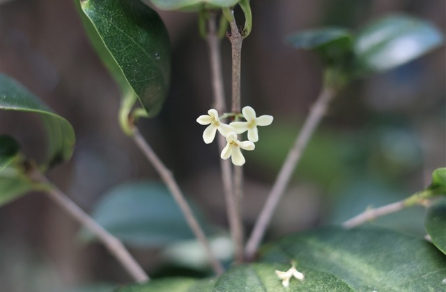 游戏名字简单干净大方(优选513个)