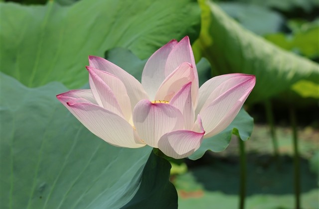 霸气个性扣扣网名精选(精选326个)