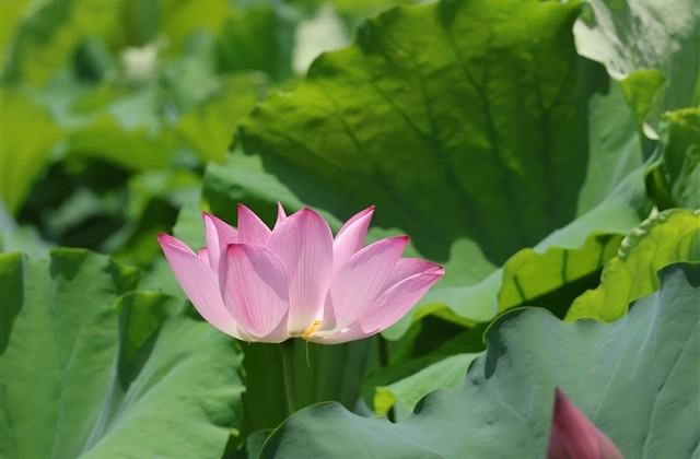 霸道一点的女生网名两个字(精选523个) 霸道一点的女生网名两个字(精选523个)