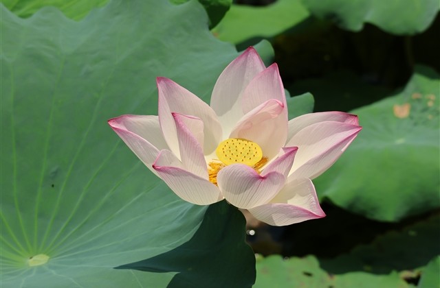 高冷独特的游戏名字(共288个) 高冷独特的游戏名字(共288个)