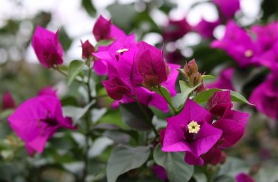 ​霸道非主流个性网名两个字(共278个)