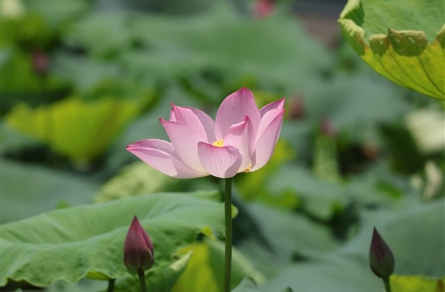 阳光可爱的女生网名(共189个)