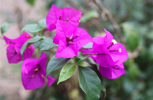 非主流符号霸气网名