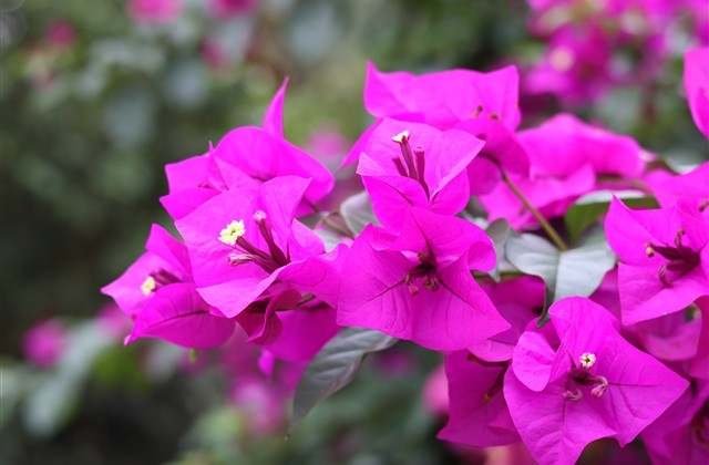 适合00后的网名(共162个)