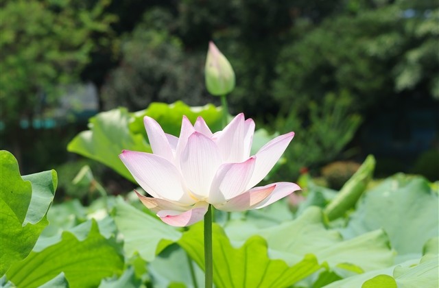 飞车女生游戏网名两个字(精选211个)