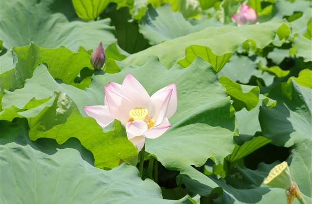 霸道的爱qq网名(精选154个)