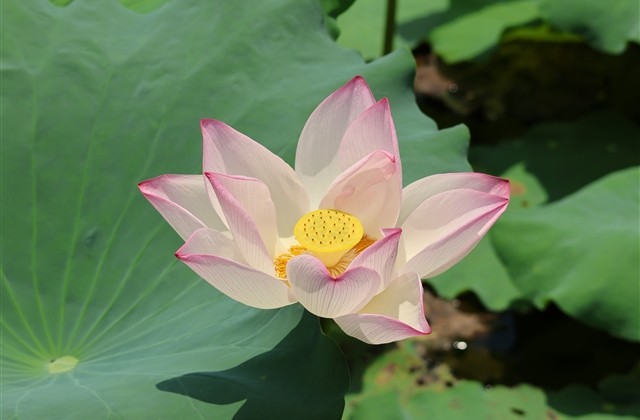 青春qq群网名(优选116个) 青春qq群网名(优选116个)