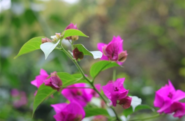 韩文网名情侣，韩系情侣网名(45句)