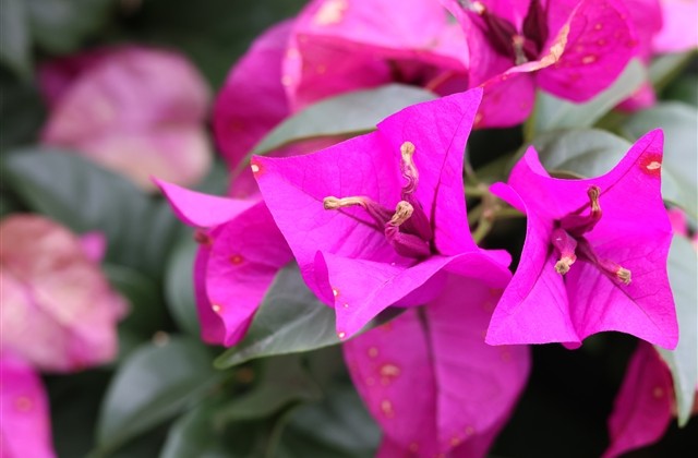 黑色少年qq网名(优选84个)