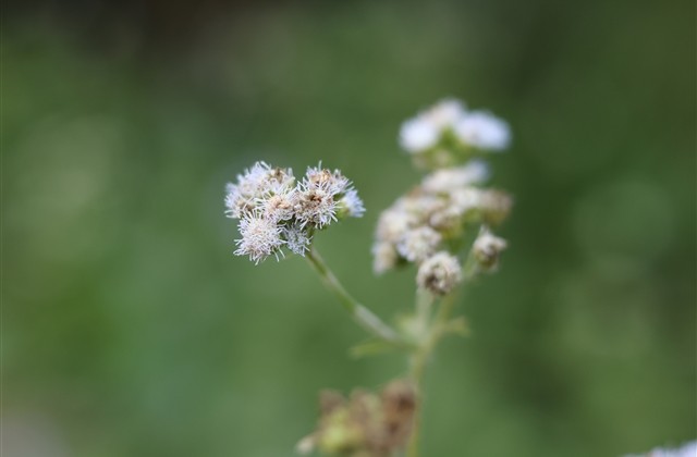 高逼格的男生昵称大全 又酷又高冷又霸气的网名男