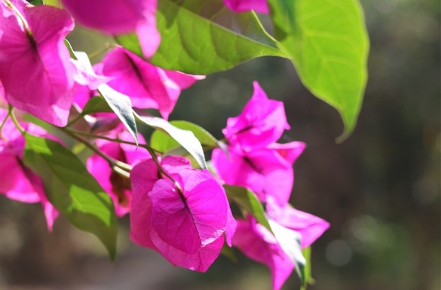 霸气又不失风度的网名 霸气到爆炸的网名