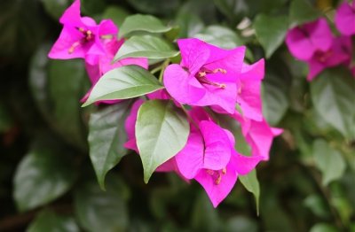 ​比较个性的扣扣网名昵称大全(共390个)