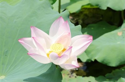 ​5个字诗意又撩人的游戏名字(共361个)