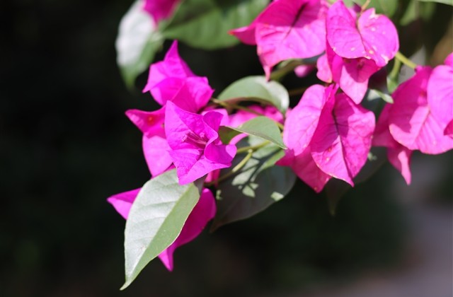 最新繁体字女生网名(390个) 最新繁体字女生网名(390个)