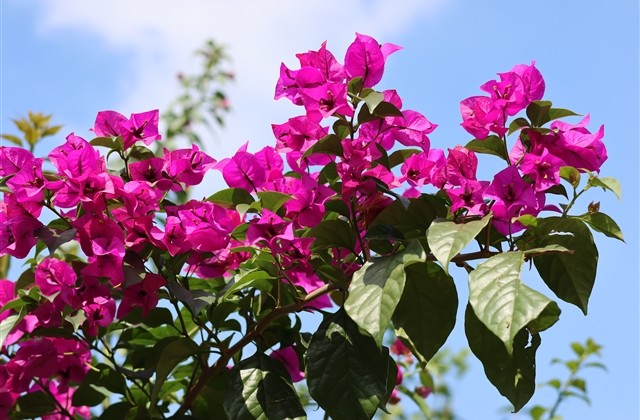 好听的空间网名(精选390个)