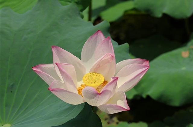 QQ网名个性独特(333个)