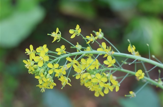 好听干净的网名(342个)
