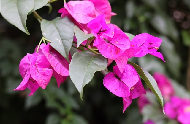 八个字的霸气网名大全(共222个)