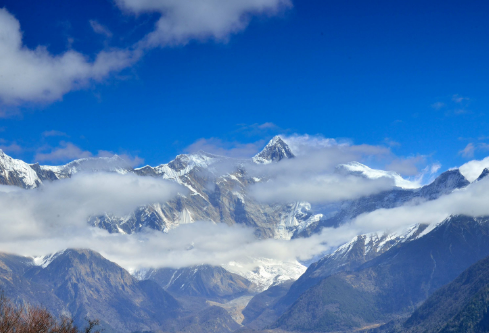 1687246686724440.png image.png