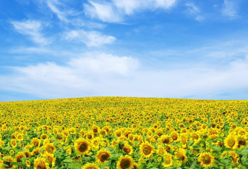 1687249685189899.png image.png