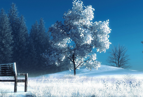 1687250351774916.png image.png