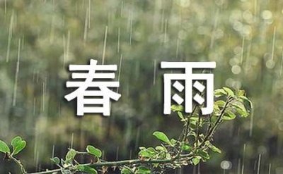 ​春雨现代诗歌