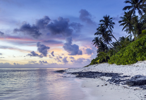 1687250018136806.png image.png