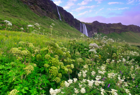 1687248019257071.png image.png