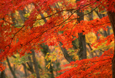 1687252184138635.png image.png