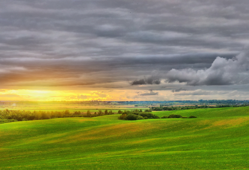 1687253016684248.png image.png