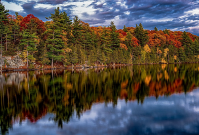 ​苏轼的诗句大全（苏轼最著名的40首诗）