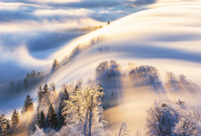 ​描写春雨的诗句（赞美春雨的优美句子）