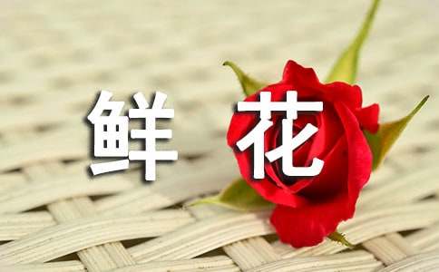 五月的鲜花现代诗歌（通用7首）