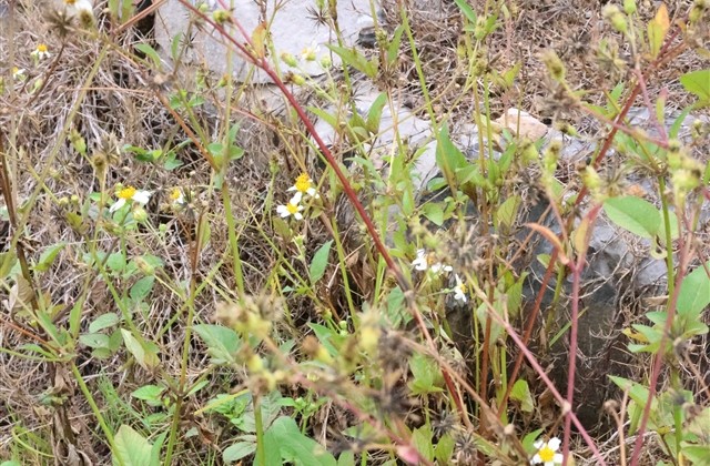 带清字可爱的名字 带清字可爱的名字